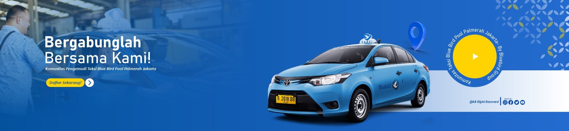 subheader blubird (1)