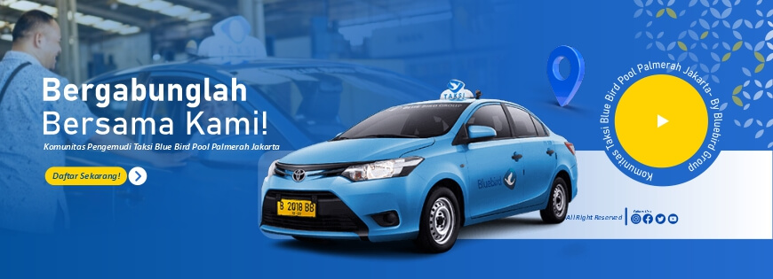 submobile bluebird (1)